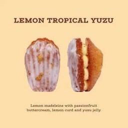 Lemon Tropical Yuzu Madeleine
