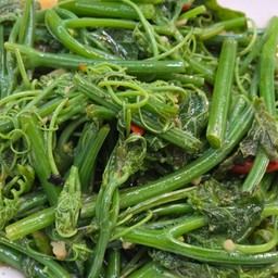 Stir-Fried Sayate With Oyster Sauce
