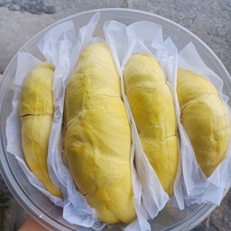 เนื้อทุเรียนหมอนทอง 1กิโลกรัม