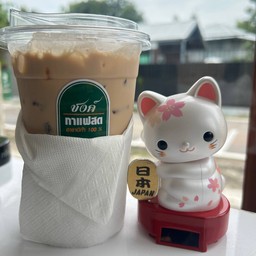 ชาไทย ไม่มีสี