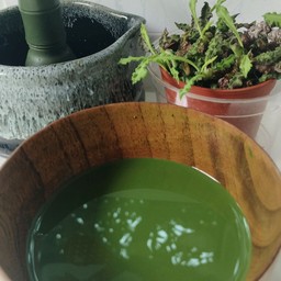Pure Ceremonial Uji Matcha 12Oz
