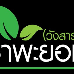 ชาพะยอม(วังสารภี)
