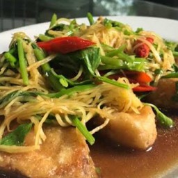 ปลากระพงผัดขึ้นช่าย