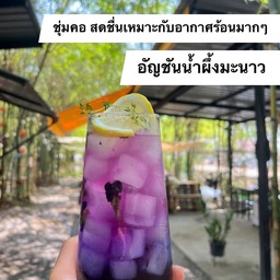 อัญชันน้ำผึ้งมะนาว