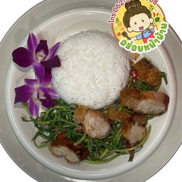 ผัดยอดกระเฉดหมูกรอบ