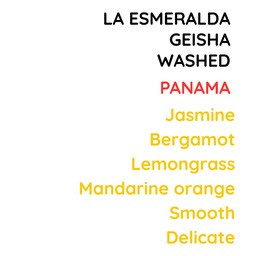 Panama La Esmeralda Geisha Washed
