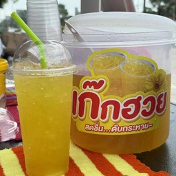 เก๊กฮวย