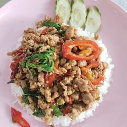 กระเพราหัวมุมไข่ข้น(บงกช2)