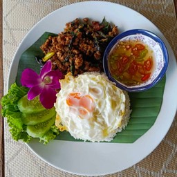 ข้าวกระเพราหมู+ไข่ดาว