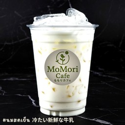 นมสดเย็น