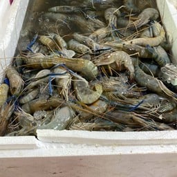 กุ้งเมียปน ตัวพอดีทาน ปริมาณ ครึ่งกิโล