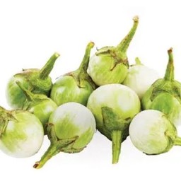 มะเขือเปราะ