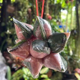 แหนมตุ้ม