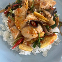 ผัดฉ่าปลาคัง(กับข้าว)
