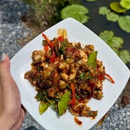 ผัดเผ็ดกบ