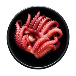 หนวดหมึกเบบี้