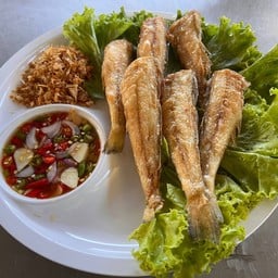ปลาเห็ดโคนทอดกระเทียม Fried mushroom fish with garlic