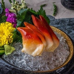 84) หอยปีกนกซาซิมิ