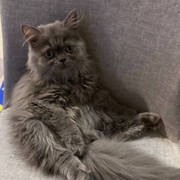 คอฟฟี่ น้องชายคนสุดท้อง