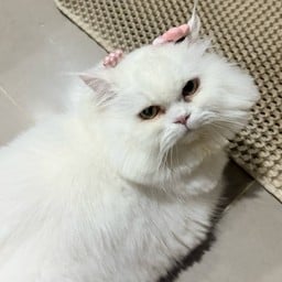 กินข้าวกันเด้อ ครัวคนโคราช