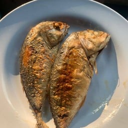 ปลาทู (ราคาต่อตัว)