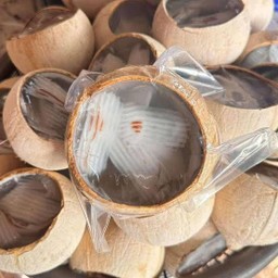 วุ้นมะพร้าวอ่อนในลูกมะพร้าว