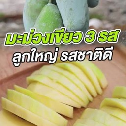 รสชาติ เปรี้ยว หวาน