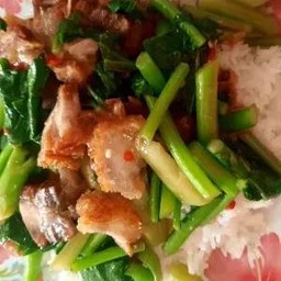 คะน้าราดข้าว