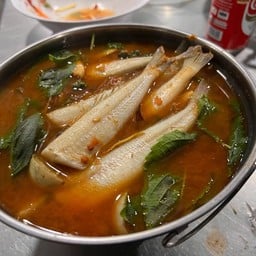 แกงป่าปลาเห็ดโคน Wild fish and mushroom curry