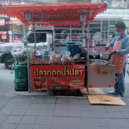ปลาทอดน้ำปลา - ด่านสำโรง สาขา 11 11