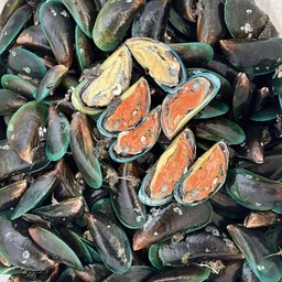 หอยแมลงภู่ สดๆ ชุดละ 3 กิโล