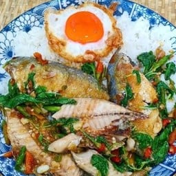 กระเพราปลาทูราดข้าว+ไข่ดาว