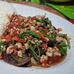 กระเพราหมูสับ+ไข่เยี่ยวม้า