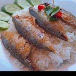 ข้าวปลาทูแกะ