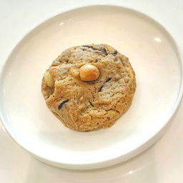 Double Choc Macadamia