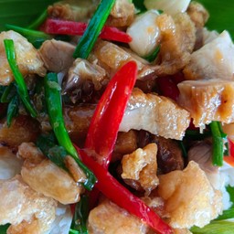 ข้าวหมูกรอบน้ำมันหอย