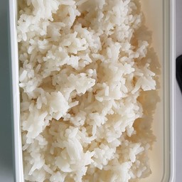 ข้าวเปล่า