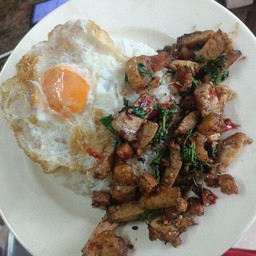 ข้าวกะเพราหมูกรอบ