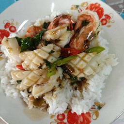 กระเพราทะเล