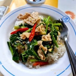 ข้าวราดคะน้า/ผักบุ้ง(เลือกผัก)