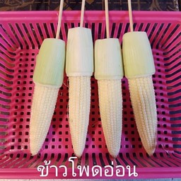 ข้าวโพดอ่อน