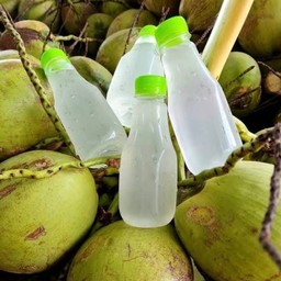 น้ำมะพร้าวน้ำหอม ปริมาณ 200 ml ( 5 ขวด )