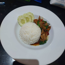 ข้าวราดกระเพาเนื้อ / กุ้ง