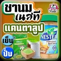ชานมเนสที แคนตาลูป