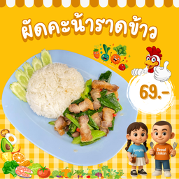 ผัดคะน้าราดข้าว (เลือกเนื้อสัตว์ตามใจชอบ)