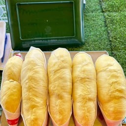 ทุเรียนหมองทอง