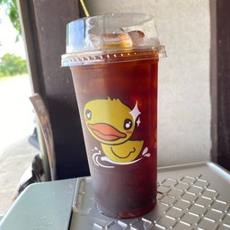 Duck House
