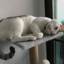 ของทงของทอด กับแกล้มกับใจ  หน้าซอย10 เดอะมันนี่มี หน้าซอย10 เดอะมันนี่มี