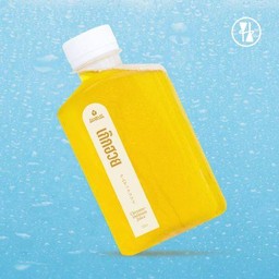 เก๊กฮวย