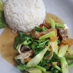 ข้าวคะน้าหมูกรอบ